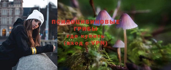 крисы Новодвинск