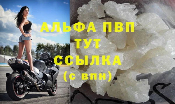 спиды Новозыбков