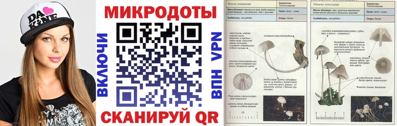 Галлюциногенные грибы Psilocybine cubensis  Старая Русса 