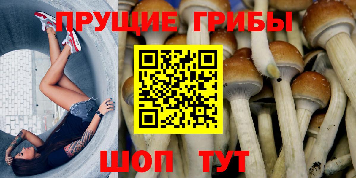 Псилоцибиновые грибы мухоморы Старая Русса